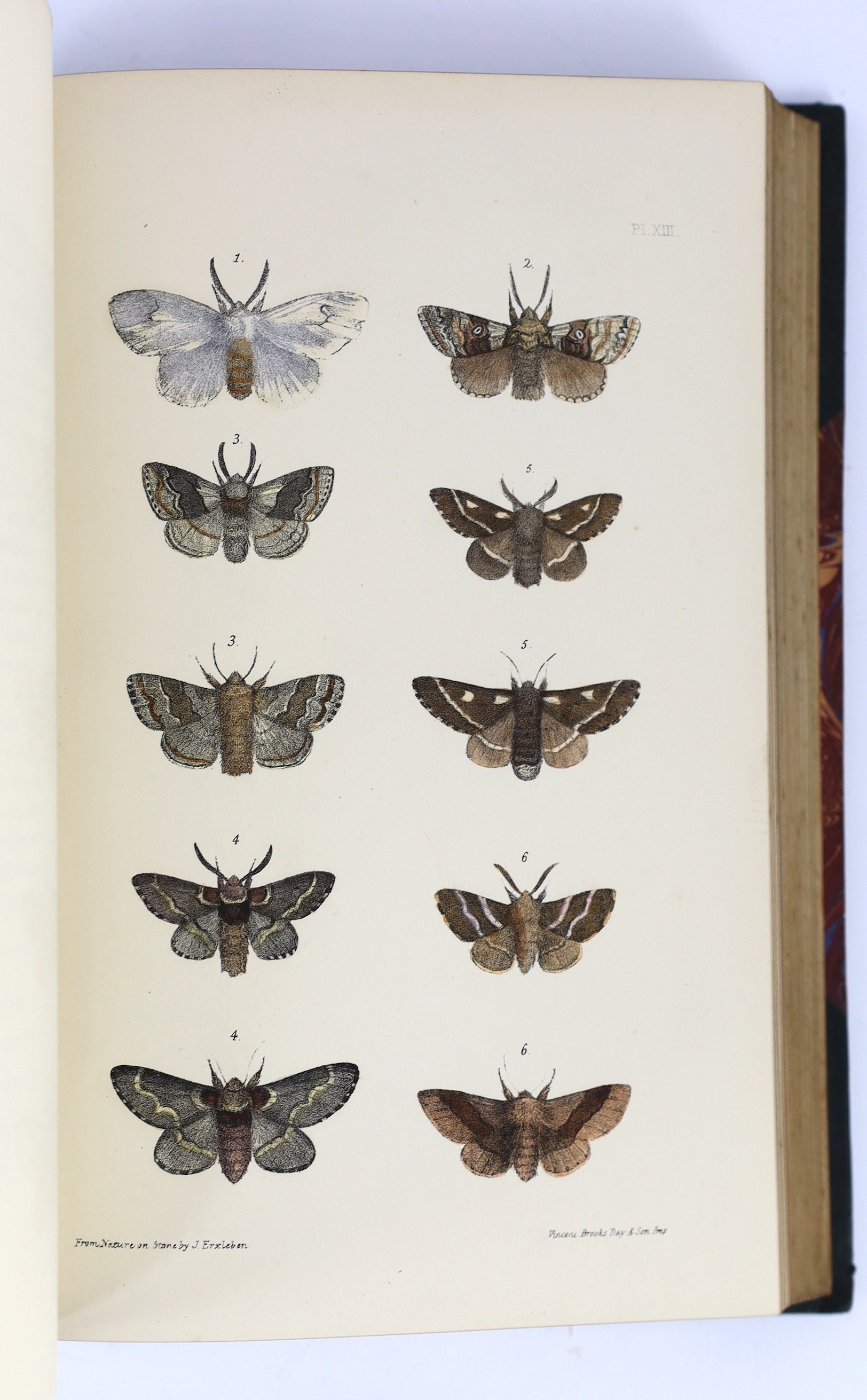 Morris, Rev. Francis Orpen - A Natural History of British Moths...4 vols. 132 hand coloured plates; contemp. half morocco and marbled boards, gilt decorated panelled spines, ge. and marbled e/ps., roy. 8vo. 1872